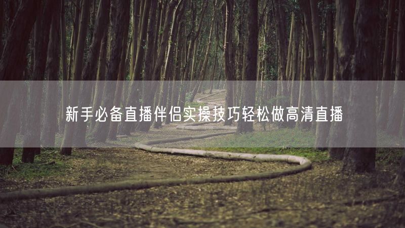 新手必备直播伴侣实操技巧轻松做高清直播