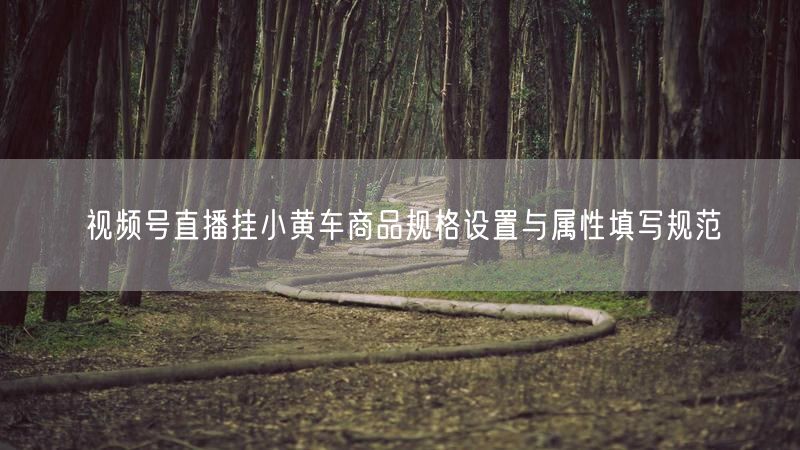 视频号直播挂小黄车商品规格设置与属性填写规范