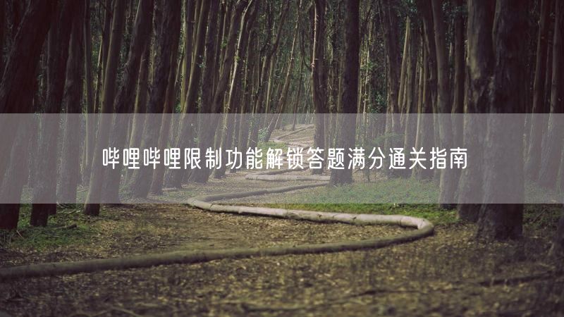 哔哩哔哩限制功能解锁答题满分通关指南