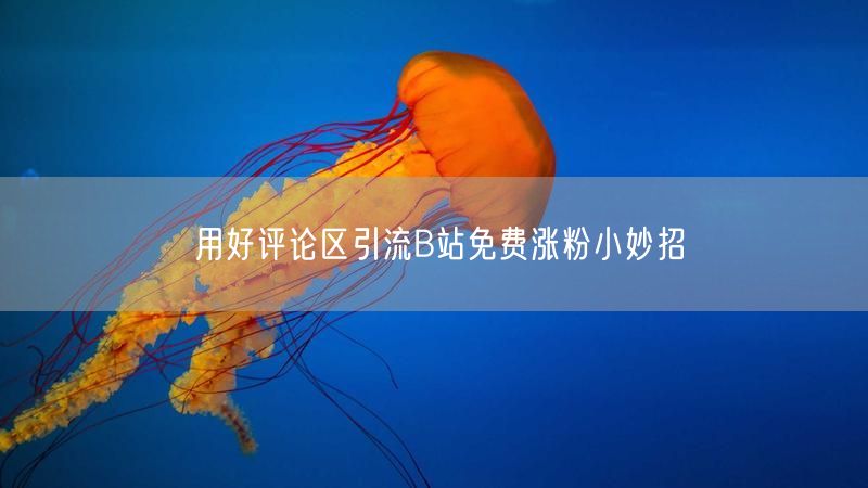 用好评论区引流B站免费涨粉小妙招