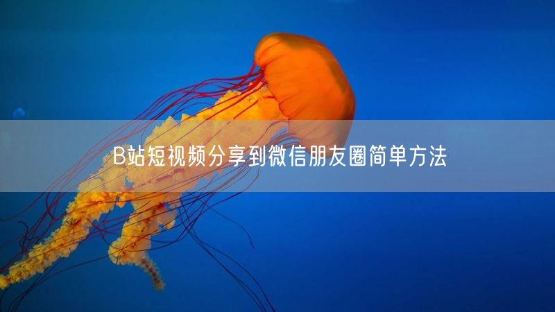 B站短视频分享到微信朋友圈简单方法