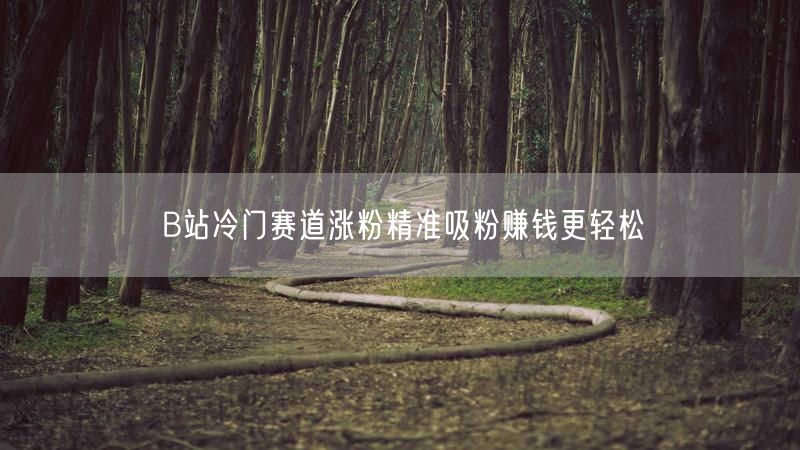 B站冷门赛道涨粉精准吸粉赚钱更轻松