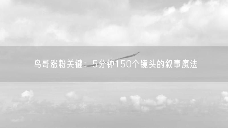 鸟哥涨粉关键：5分钟150个镜头的叙事魔法