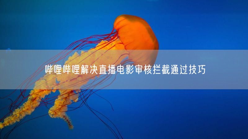 哔哩哔哩解决直播电影审核拦截通过技巧