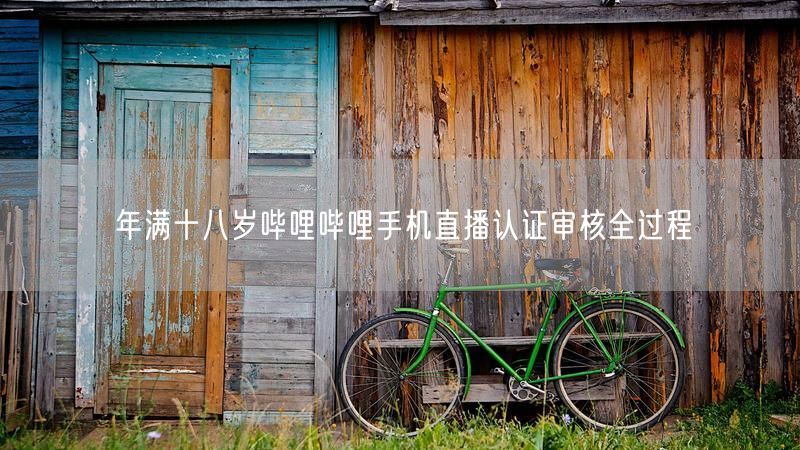 年满十八岁哔哩哔哩手机直播认证审核全过程