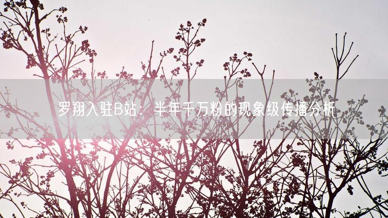 罗翔入驻B站：半年千万粉的现象级传播分析