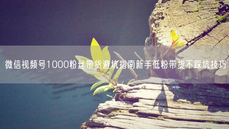 微信视频号1000粉丝带货避坑指南新手低粉带货不踩坑技巧