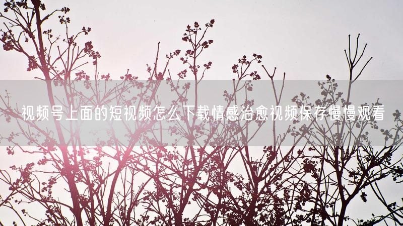 视频号上面的短视频怎么下载情感治愈视频保存慢慢观看