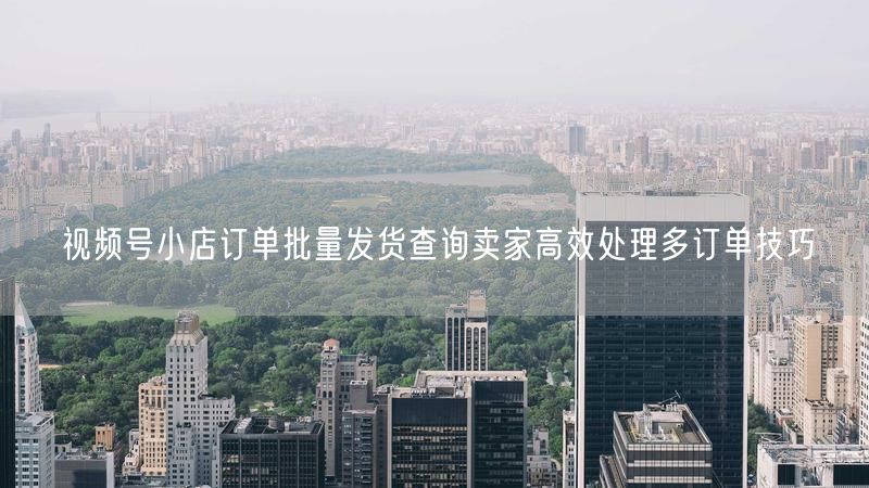 视频号小店订单批量发货查询卖家高效处理多订单技巧