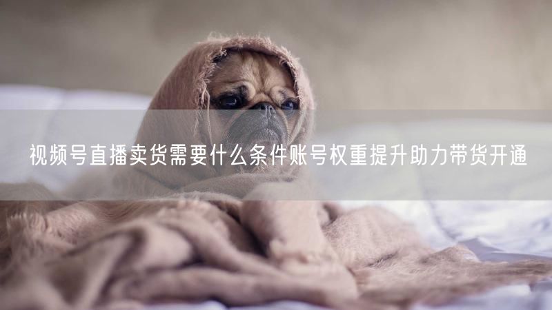 视频号直播卖货需要什么条件账号权重提升助力带货开通