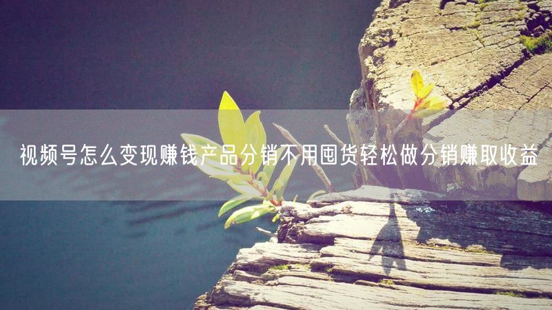 视频号怎么变现赚钱产品分销不用囤货轻松做分销赚取收益
