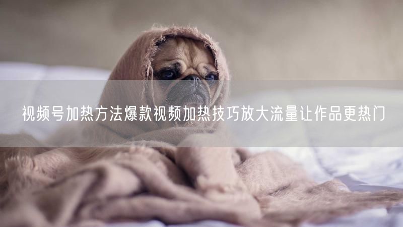 视频号加热方法爆款视频加热技巧放大流量让作品更热门
