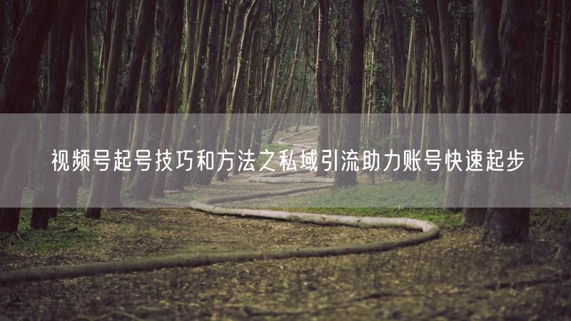 视频号起号技巧和方法之私域引流助力账号快速起步