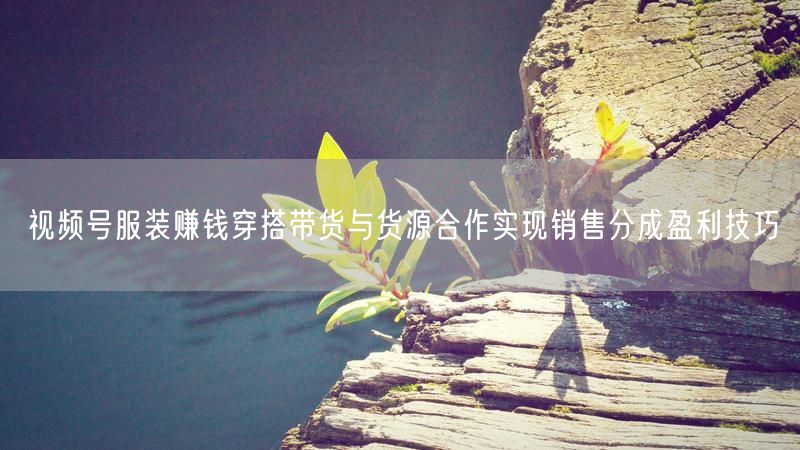 视频号服装赚钱穿搭带货与货源合作实现销售分成盈利技巧