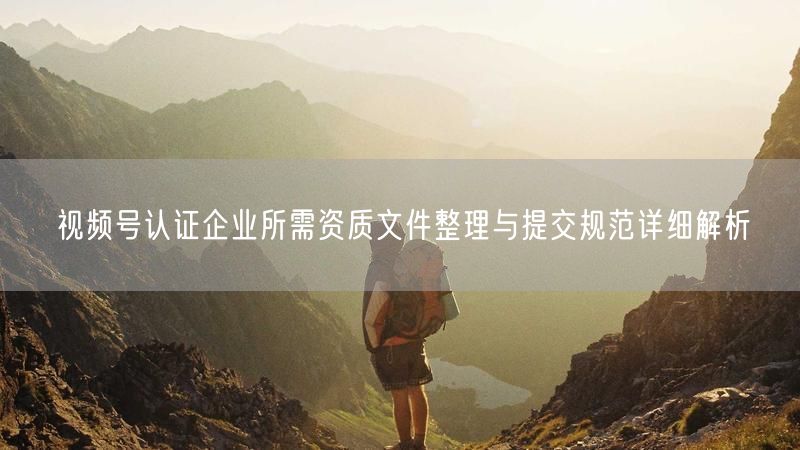 视频号认证企业所需资质文件整理与提交规范详细解析
