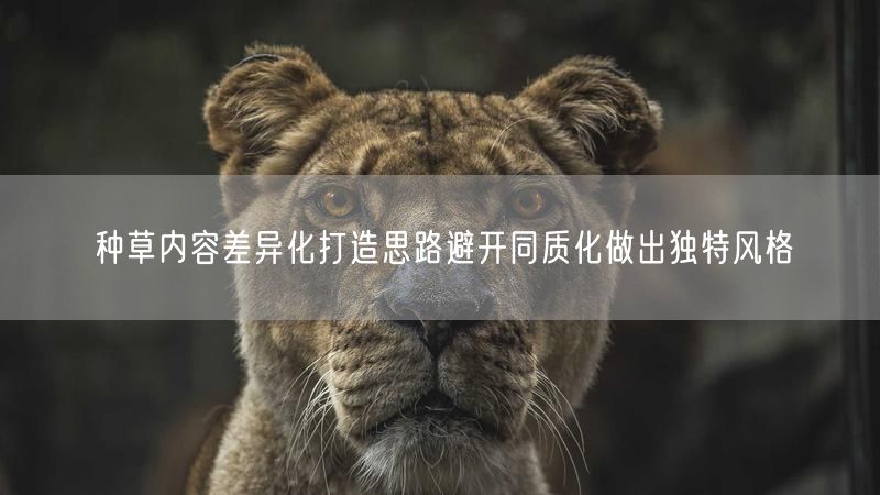 种草内容差异化打造思路避开同质化做出独特风格