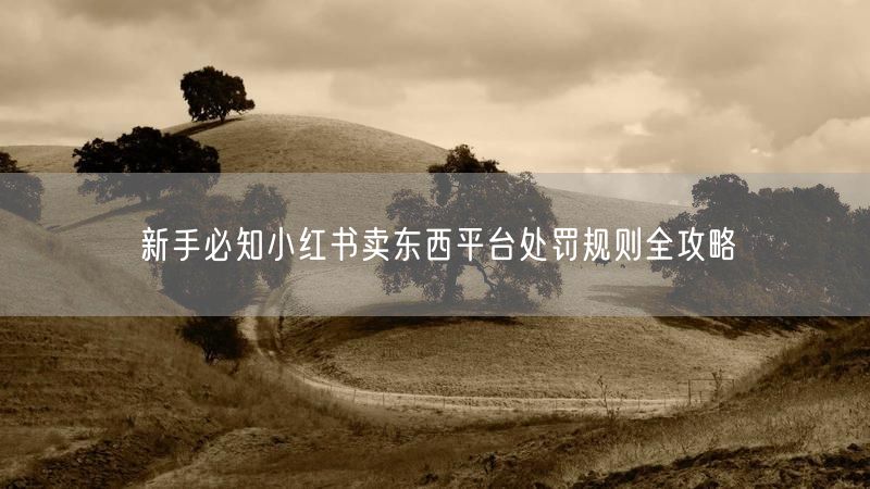 新手必知小红书卖东西平台处罚规则全攻略