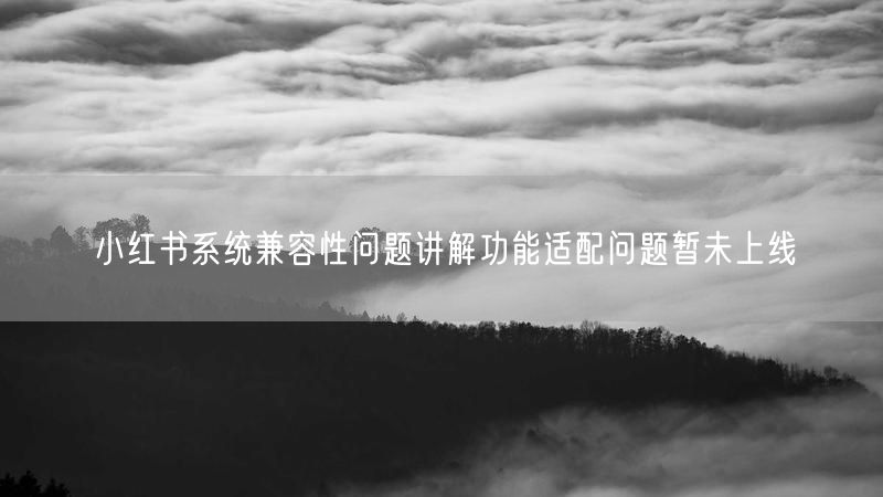 小红书系统兼容性问题讲解功能适配问题暂未上线