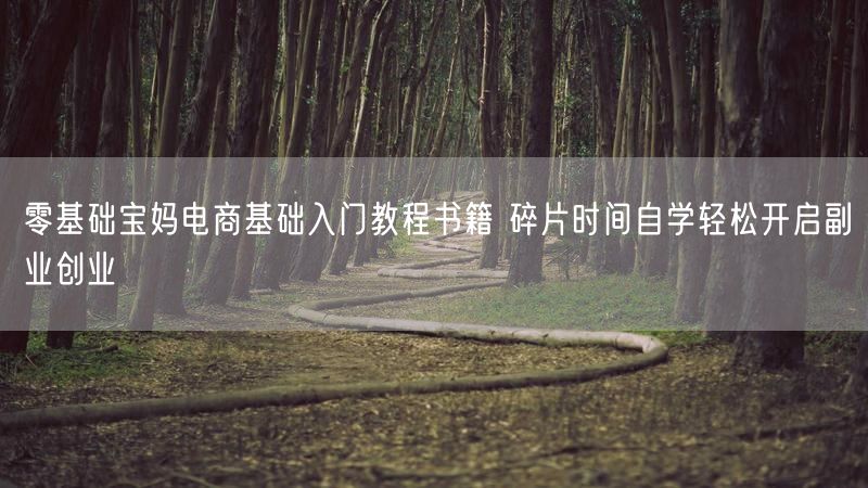 零基础宝妈电商基础入门教程书籍 碎片时间自学轻松开启副业创业