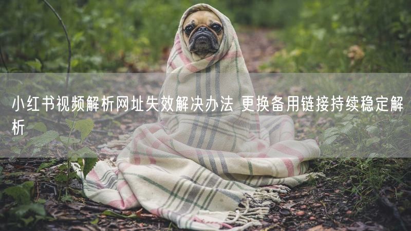 小红书视频解析网址失效解决办法 更换备用链接持续稳定解析
