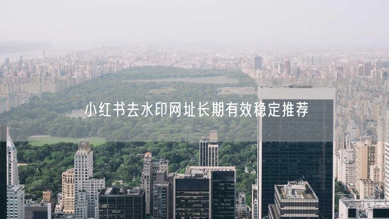 小红书去水印网址长期有效稳定推荐