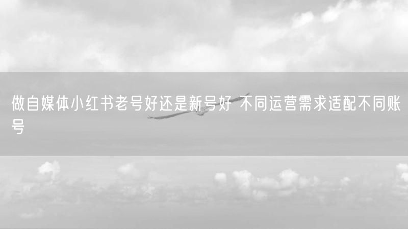 做自媒体小红书老号好还是新号好 不同运营需求适配不同账号