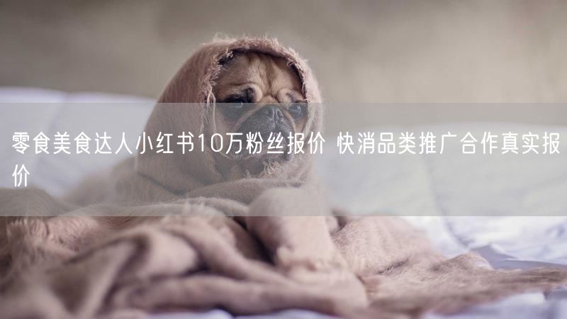零食美食达人小红书10万粉丝报价 快消品类推广合作真实报价