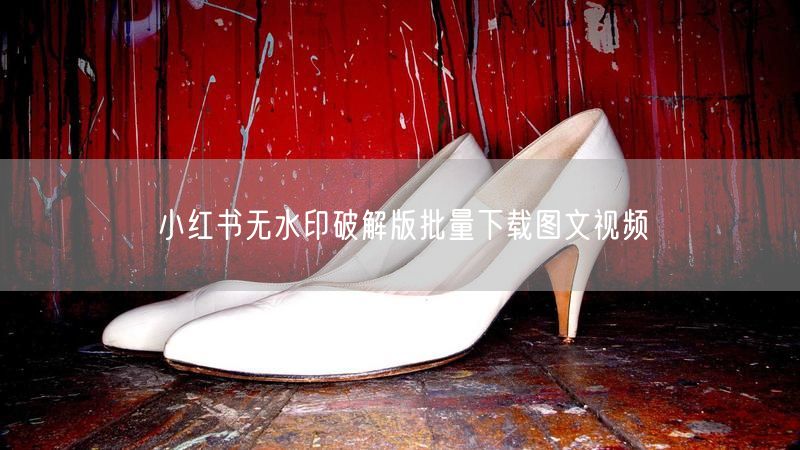 小红书无水印破解版批量下载图文视频