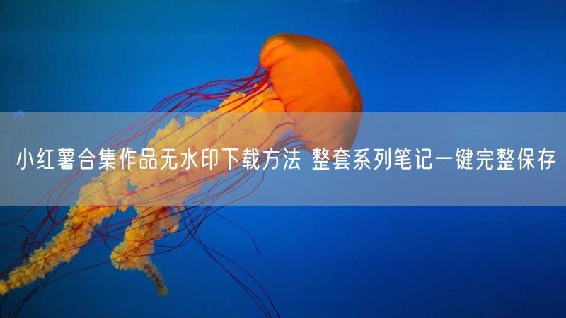 小红薯合集作品无水印下载方法 整套系列笔记一键完整保存