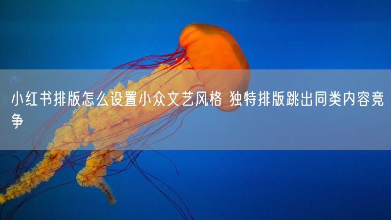 小红书排版怎么设置小众文艺风格 独特排版跳出同类内容竞争