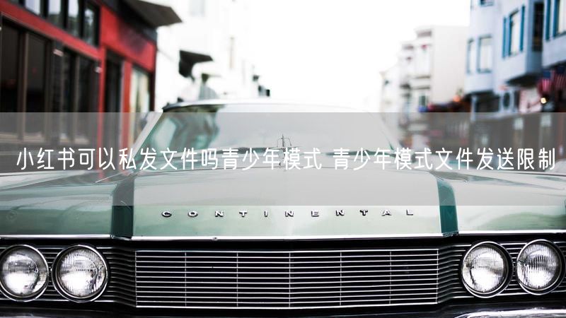 小红书可以私发文件吗青少年模式 青少年模式文件发送限制