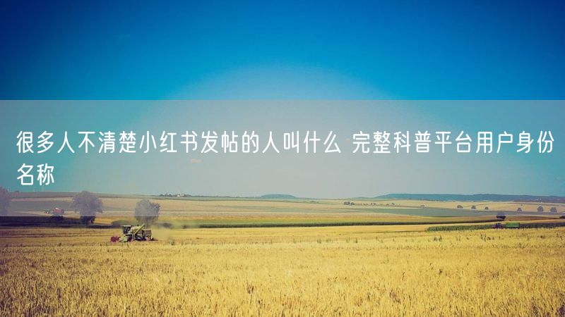 很多人不清楚小红书发帖的人叫什么 完整科普平台用户身份名称