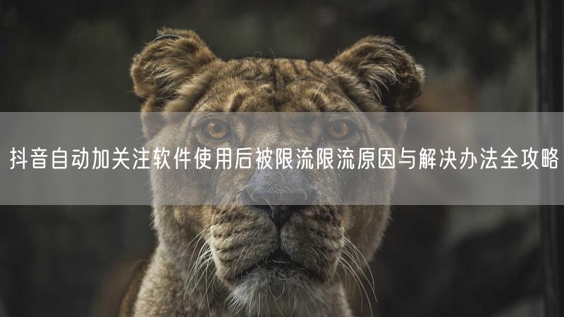 抖音自动加关注软件使用后被限流限流原因与解决办法全攻略