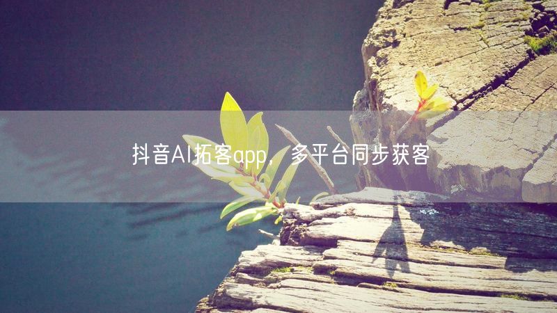 抖音AI拓客app，多平台同步获客