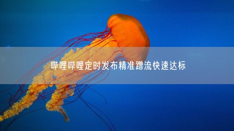 哔哩哔哩定时发布精准蹭流快速达标