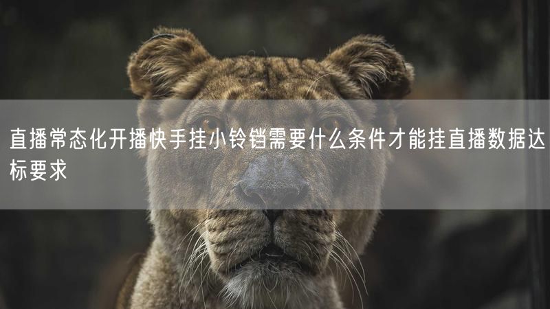 直播常态化开播快手挂小铃铛需要什么条件才能挂直播数据达标要求