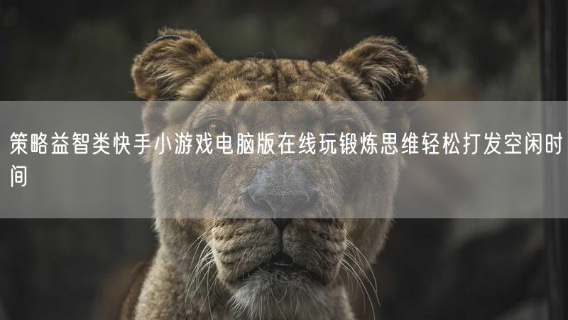 策略益智类快手小游戏电脑版在线玩锻炼思维轻松打发空闲时间