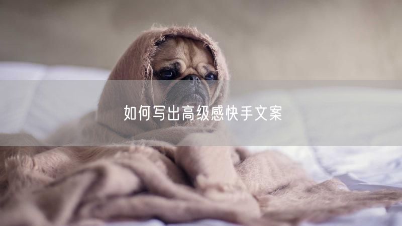 如何写出高级感快手文案