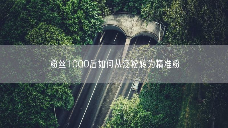 粉丝1000后如何从泛粉转为精准粉
