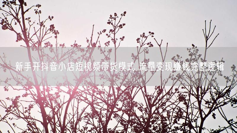 新手开抖音小店短视频带货模式 流量变现赚钱完整逻辑