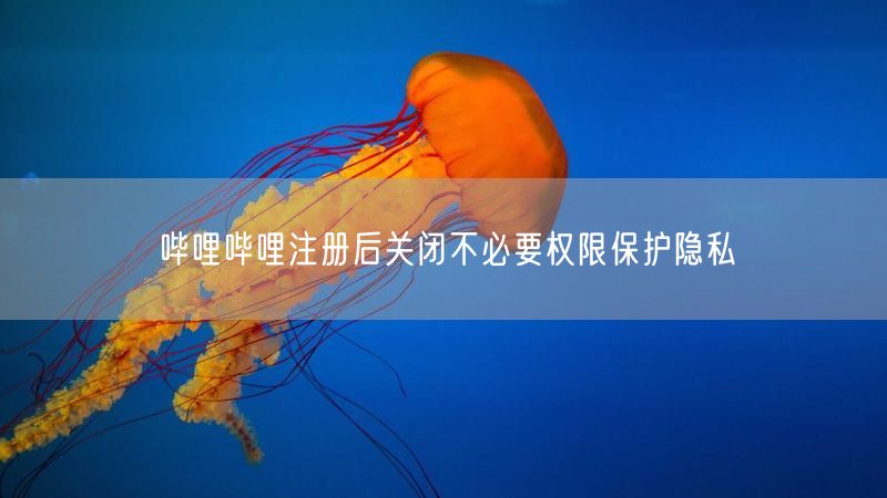 哔哩哔哩注册后关闭不必要权限保护隐私