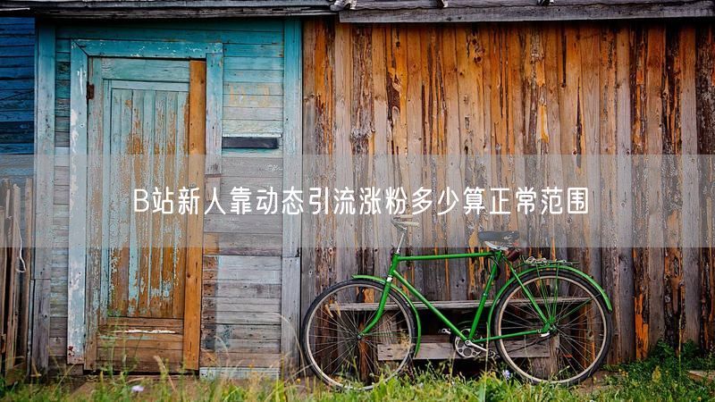 B站新人靠动态引流涨粉多少算正常范围