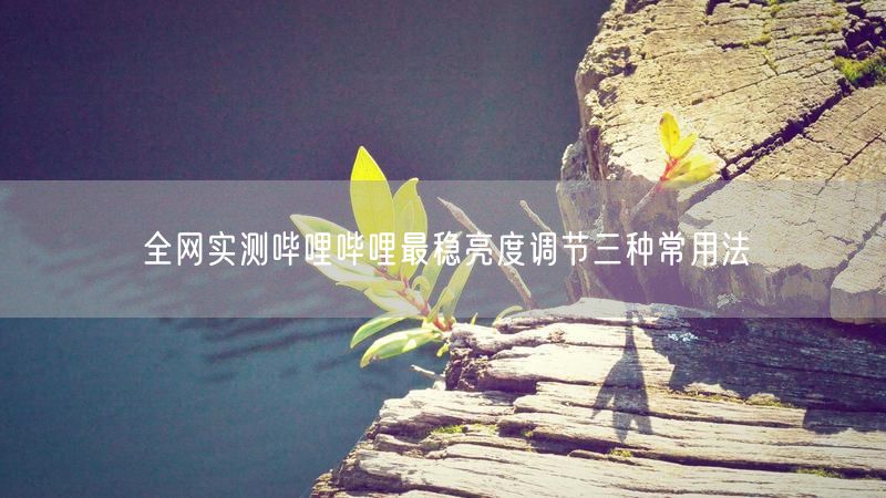 全网实测哔哩哔哩最稳亮度调节三种常用法