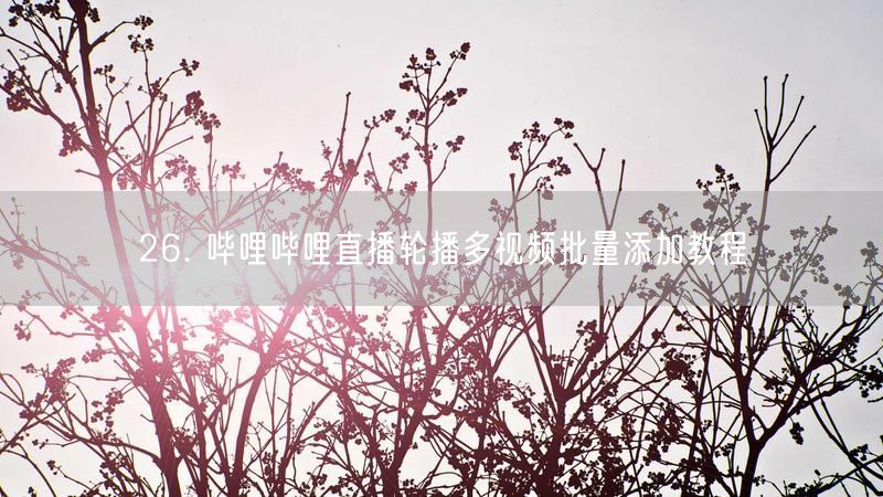 26. 哔哩哔哩直播轮播多视频批量添加教程