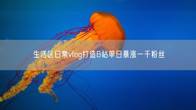 生活区日常vlog打造B站单日暴涨一千粉丝