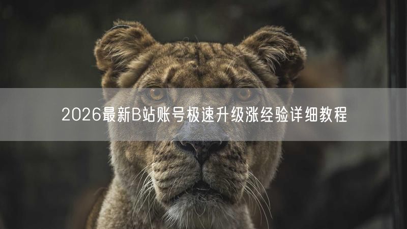 2026最新B站账号极速升级涨经验详细教程