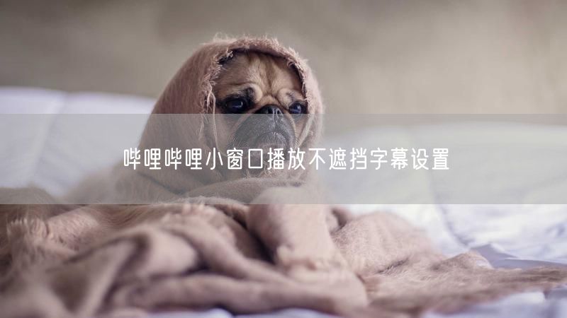 哔哩哔哩小窗口播放不遮挡字幕设置