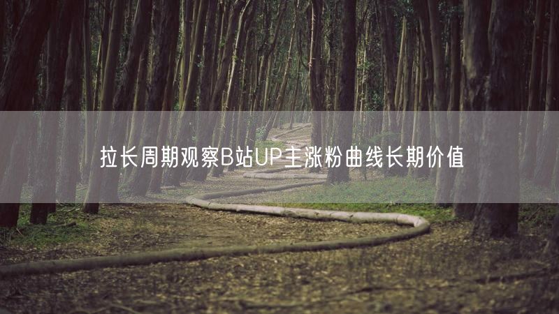 拉长周期观察B站UP主涨粉曲线长期价值