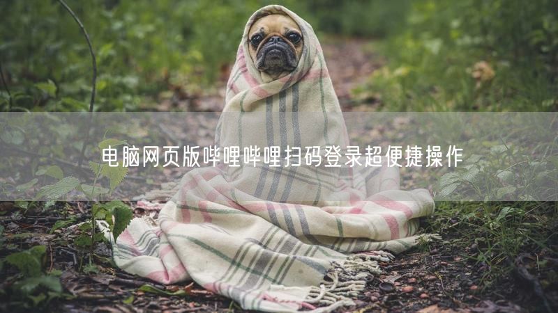 电脑网页版哔哩哔哩扫码登录超便捷操作