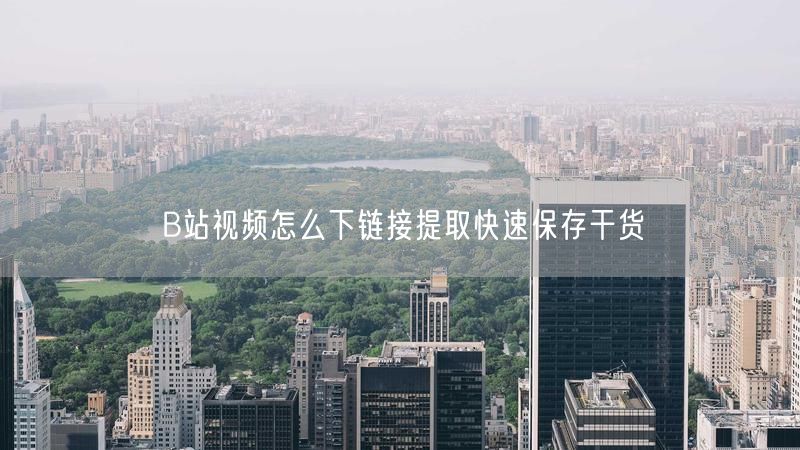 B站视频怎么下链接提取快速保存干货